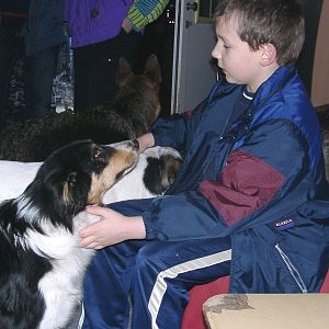 Tiere in Not 2004