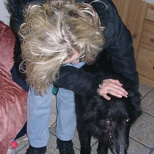 Tiere in Not 2004