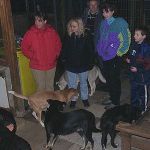 Tiere in Not 2004