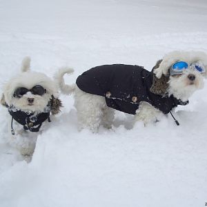 Schnee macht Spaß