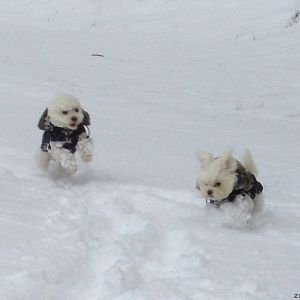 bei dem Schnee drehen die Räder durch