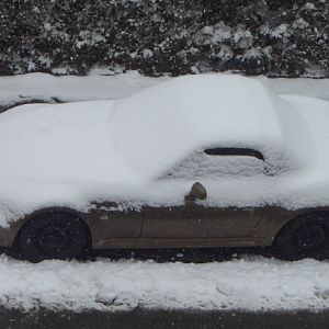Der arme Kleine :-(