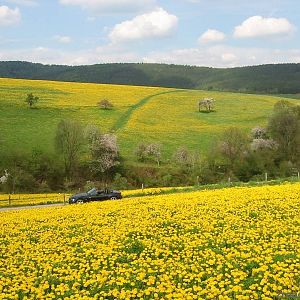IMG_1980