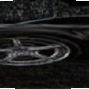 sig
