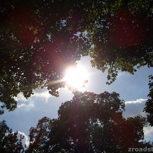 zroadster_com_fotocontest_274