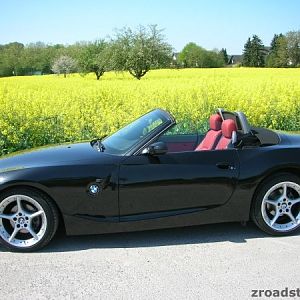 zroadster_com_fotocontest_331
