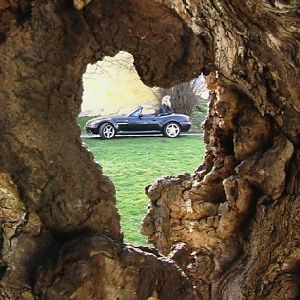 zroadster_com_fotocontest_332