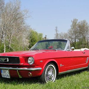 Mustang_-_klein