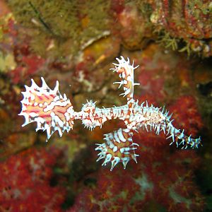 Phuket_2300