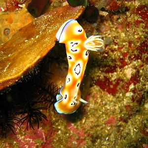Bali_2045