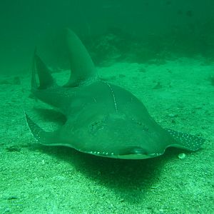 Phuket_2444