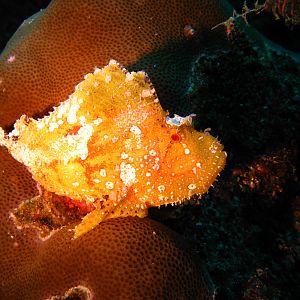Malediven_1325