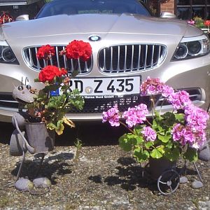 july_4th_2012_elena_buecker_alois_buecker_bmw_z4_35i_orion_silber_blumentop