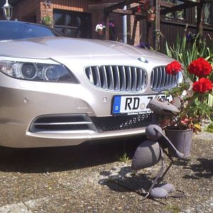 july_4th_2012_elena_buecker_alois_buecker_bmw_z4_35i_orion_silber_blumentop
