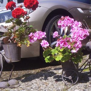 july_4th_2012_elena_buecker_alois_buecker_bmw_z4_35i_orion_silber_blumentop