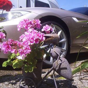 july_4th_2012_elena_buecker_alois_buecker_bmw_z4_35i_orion_silber_blumentop