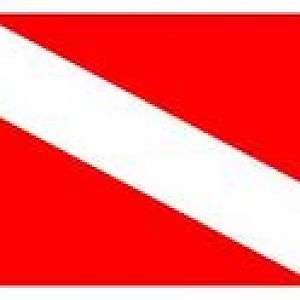 Tauchflagge