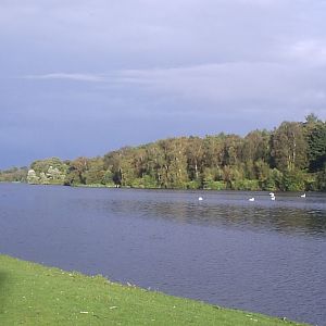 herbst_2012_05_elena_buecker_alois_buecker_englandurlaub_regenwetter