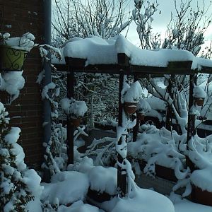 schnee_02_alois_buecker_elena_buecker