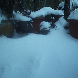 dec_9th_2012_20_alois_buecker_elena_buecker_1_st_snow