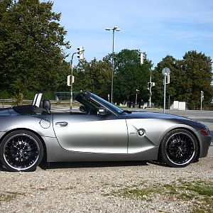 Mein sterling grey shark