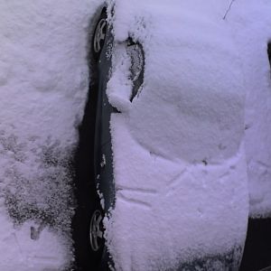 Winter