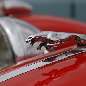 110731_Riedlingen_ein_Traum_01