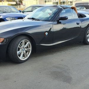 BMW Z4 E85_2-2-L_BJ-2004_a.jpg