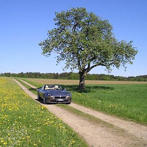 Z8_Fr_hling