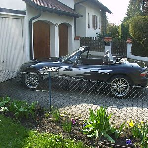 Mein kleiner Schwarzer 1