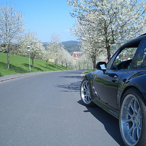 spring is in the air