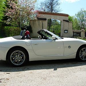 Der weisse Hai_3