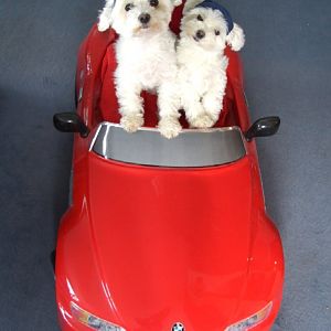 Auch wir fahren Z3