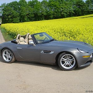 "May"n Z8