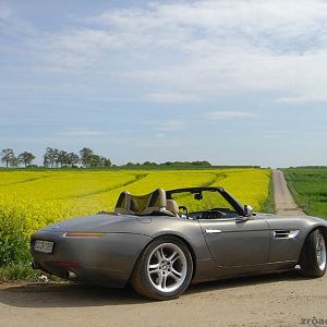 "May"n Z8