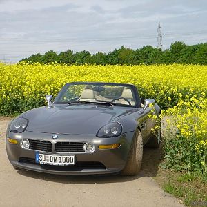 "May"n Z8