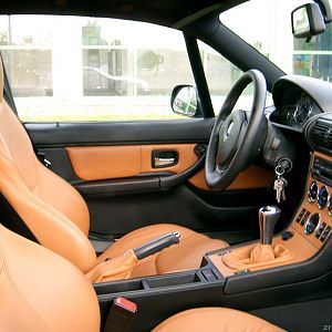 oxfordgrün/Walnuss2