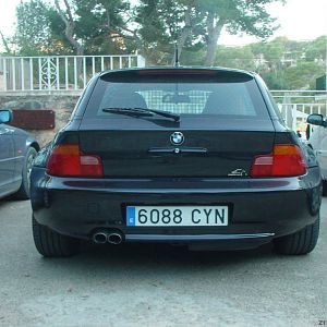 black back