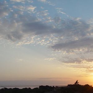 morning has broken ...