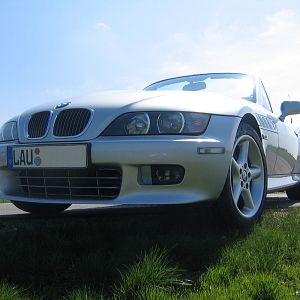 im grünen
