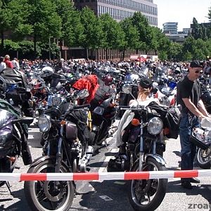 MOGO 2005