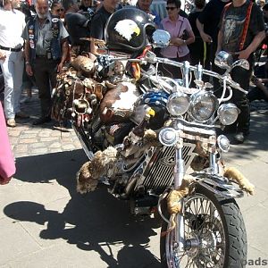 MOGO 2005