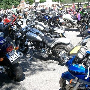 MOGO 2005