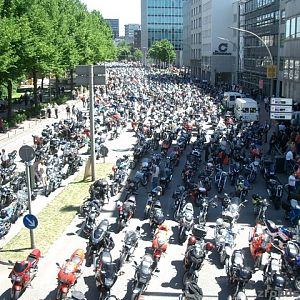 MOGO 2005