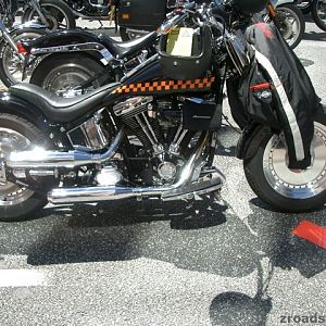 MOGO 2005