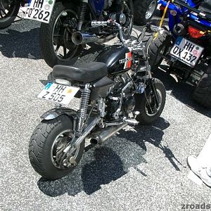 MOGO 2005