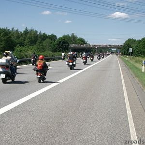 MOGO 2005