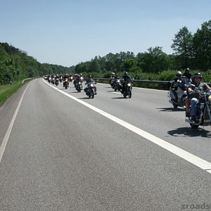 MOGO 2005