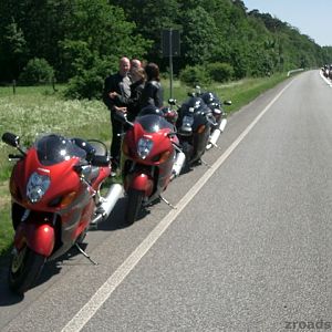 MOGO 2005