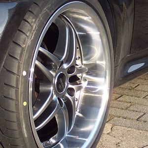 Barracuda`s